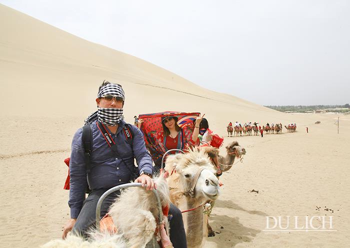 Cưỡi lạc đà trên sa mạc Minh Sa (ảnh: Bùi Nguyên Đạt)